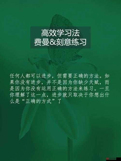 亮晶晶闪闪王国Mantara委托01他者任务流程攻略在资源管理中的重要性及高效利用策略